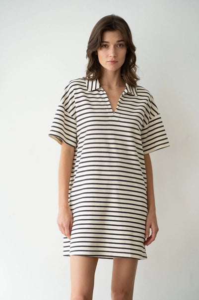 Collared V-Neck Striped Mini Dress