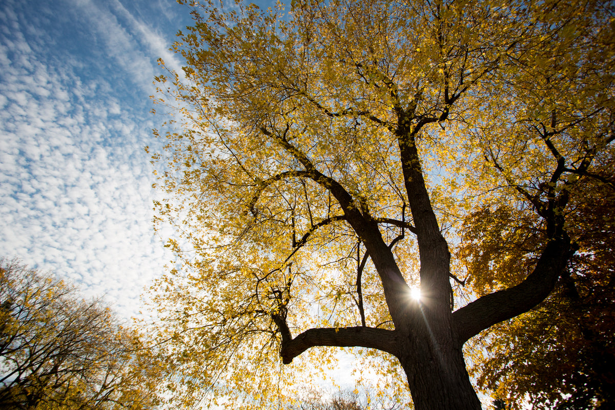 slider image slider_item_yE67cp